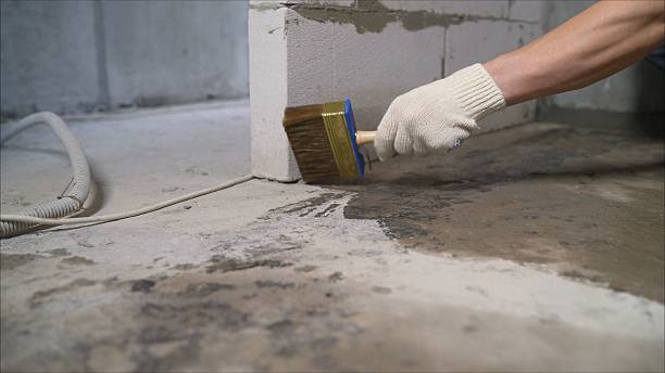 SJ Waterproofing Pros Waterproofing coverage map for Ridgeville, IN and surrounding area